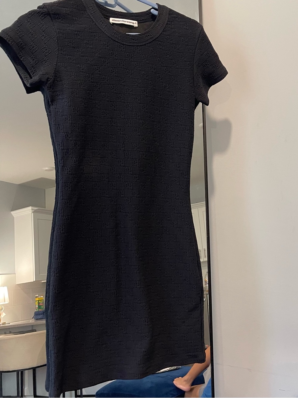 Alexander Wang Mini Dress